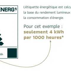 Étiquette énergétique d'un luminaire : 4 kWh/1000h. Ce symbole indique une faible consommation.