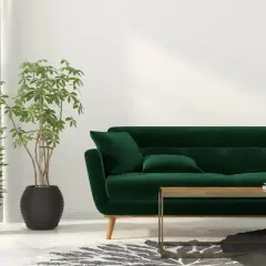 Un salon moderne avec un canapé vert profond. Des rideaux blancs et des plantes vertes apportent une touche de fraîcheur. Quelle couleur de rideaux avec un canapé vert ? Le blanc est un choix lumineux.