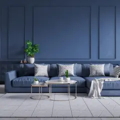 Salon moderne aux murs et canapé bleus, avec coussins graphiques et plantes vertes.