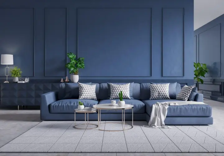 Salon moderne aux murs et canapé bleus, avec coussins graphiques et plantes vertes.