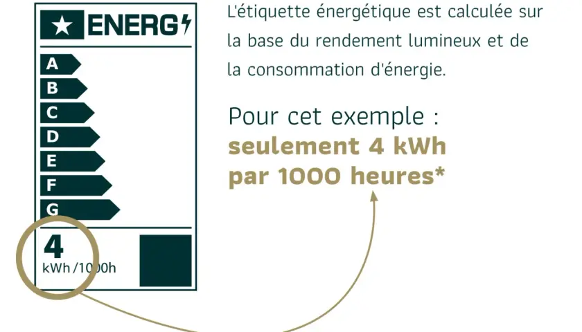 Étiquette énergétique d'un luminaire : 4 kWh/1000h. Ce symbole indique une faible consommation.