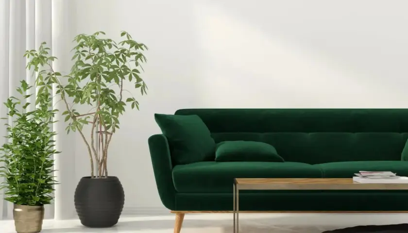 Un salon moderne avec un canapé vert profond. Des rideaux blancs et des plantes vertes apportent une touche de fraîcheur. Quelle couleur de rideaux avec un canapé vert ? Le blanc est un choix lumineux.