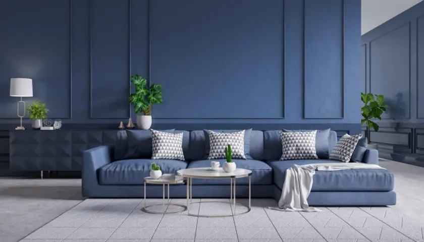 Salon moderne aux murs et canapé bleus, avec coussins graphiques et plantes vertes.