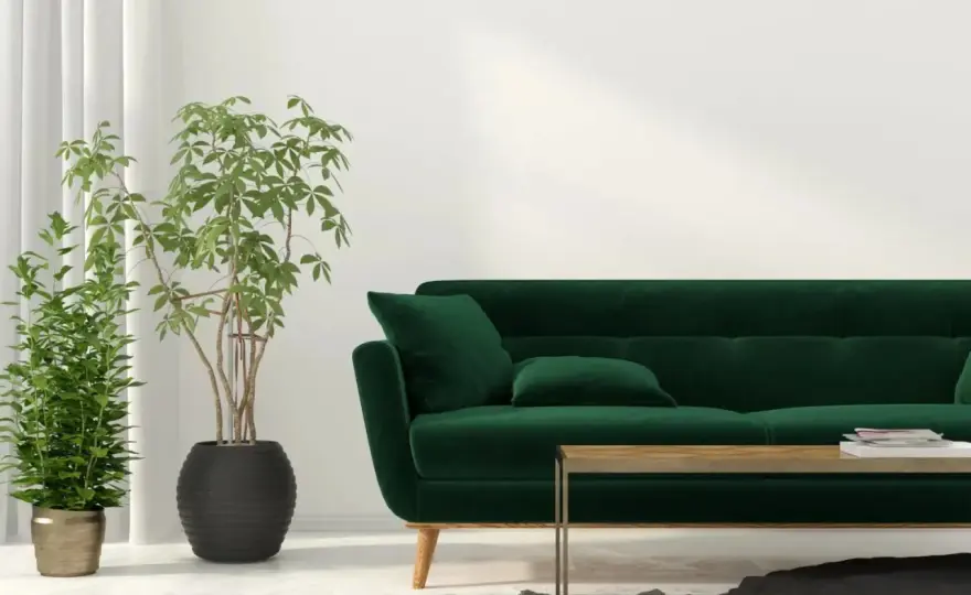 Canapé vert - Quelle couleur de rideaux choisir ?