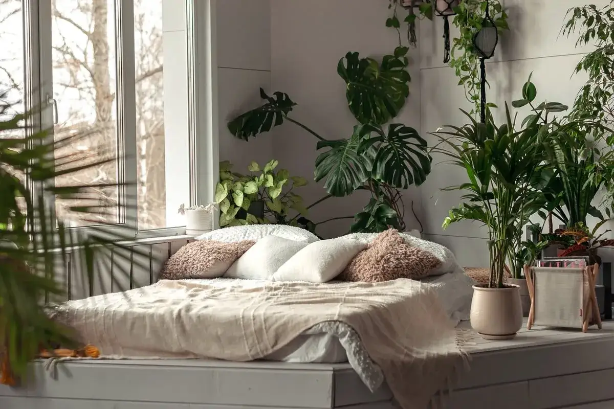 Un lit douillet entour&eacute; de nombreuses plantes pour chambre, cr&eacute;ant une ambiance tropicale et relaxante.