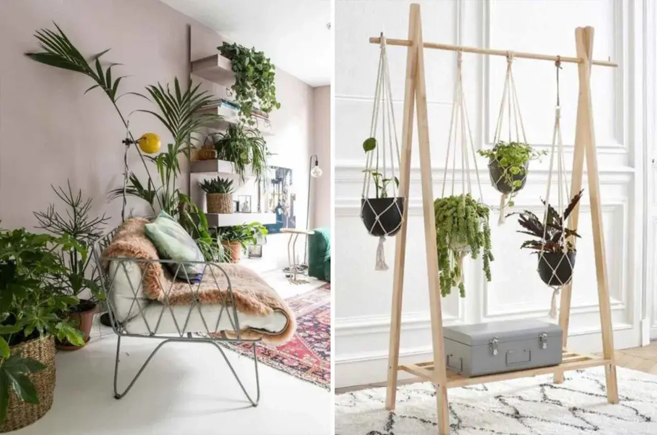 Un coin salon cosy avec un fauteuil moelleux et de nombreuses plantes vertes, cr&eacute;ant une ambiance de lys de la paix chambre. Sur la droite, des plantes suspendues dans des macram&eacute;s.